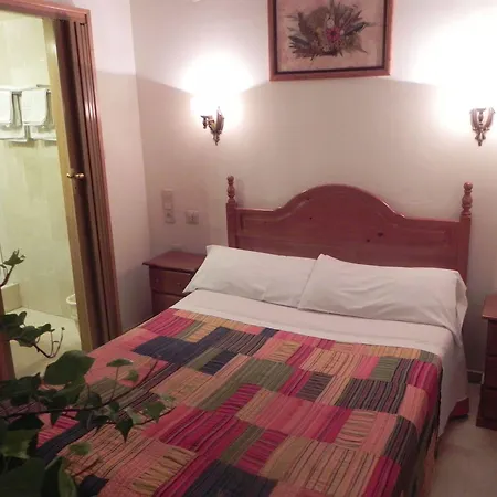 El Olivo Pensión 3*
